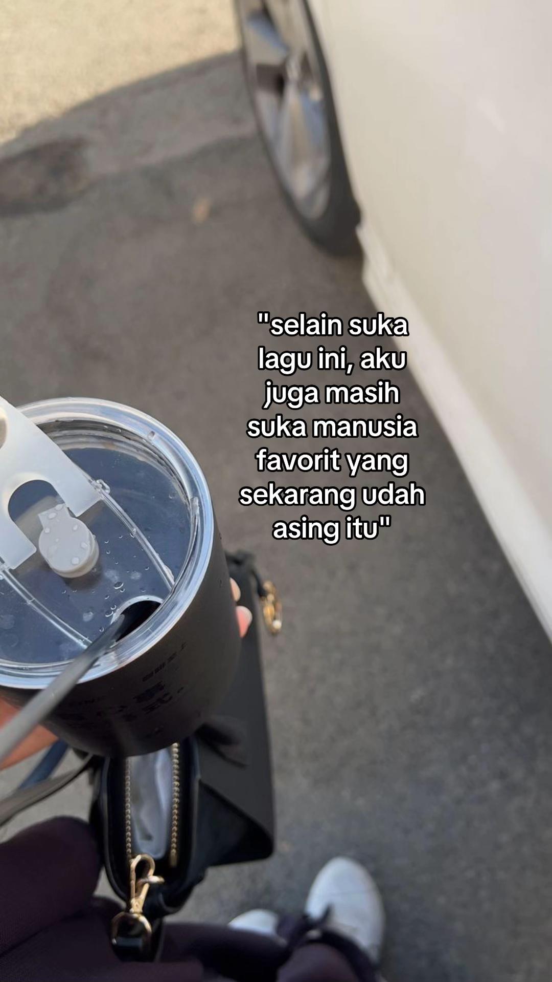 @⊹ . ݁ felia ⟡ ݁ . ⊹
