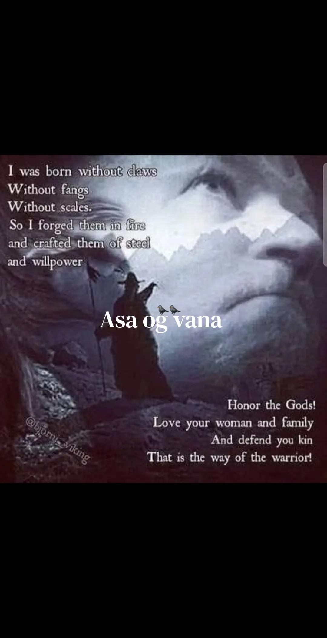 @Old man Berserker🪓Úlfheđnar