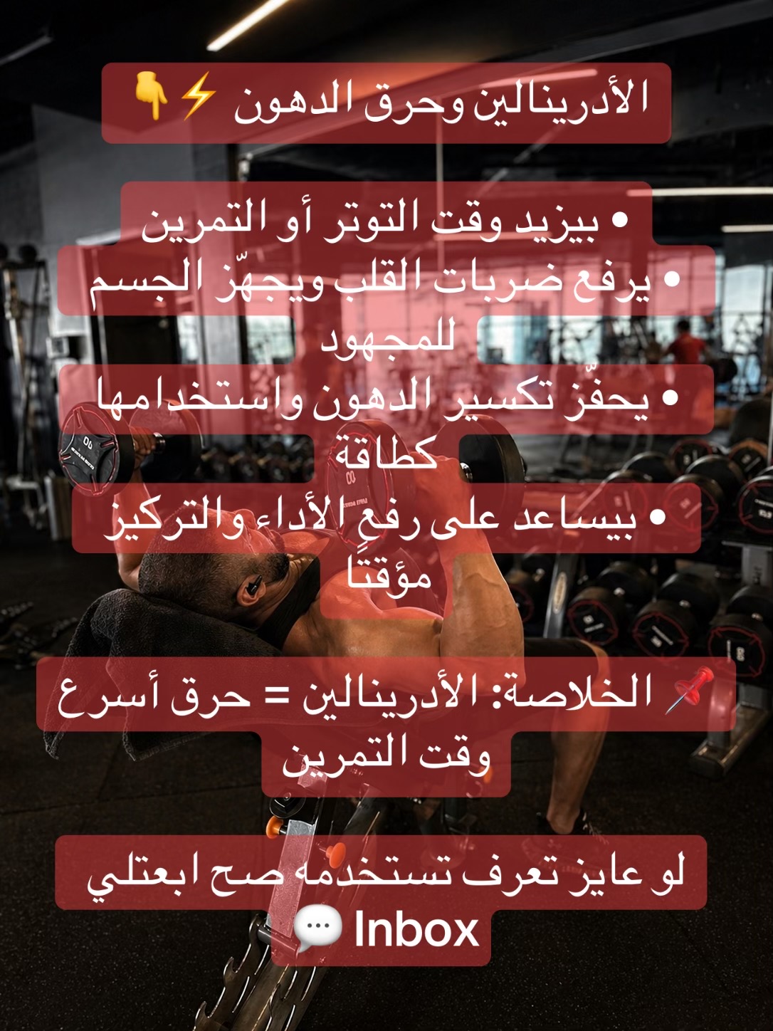 @Fakher Badr | Personal Trainer