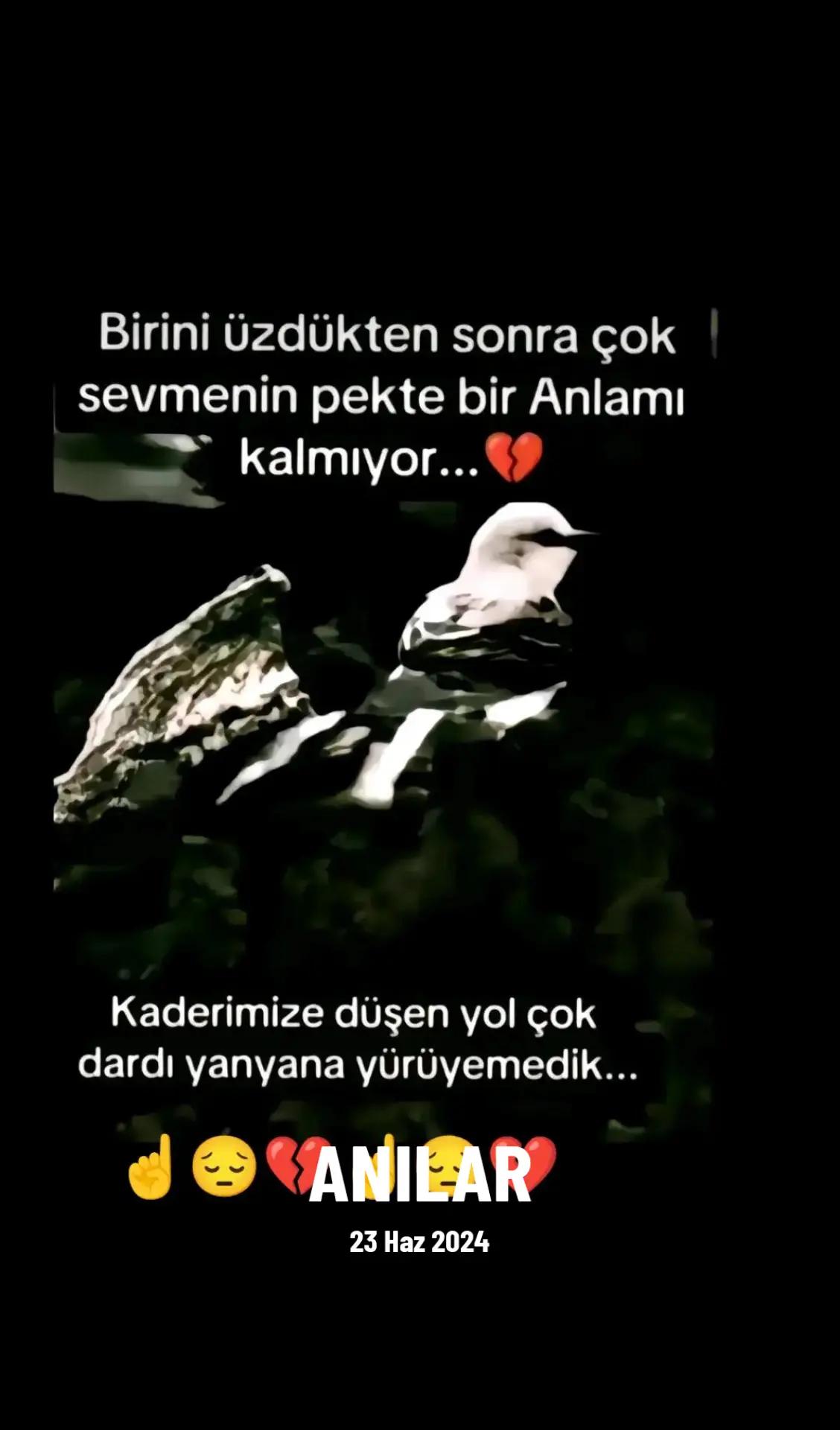 @ð¹GAZELð¹