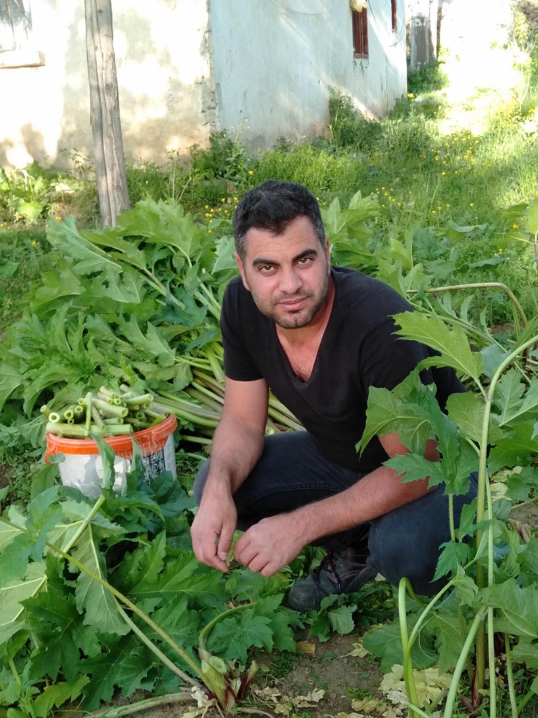 @Serdar V6A5N