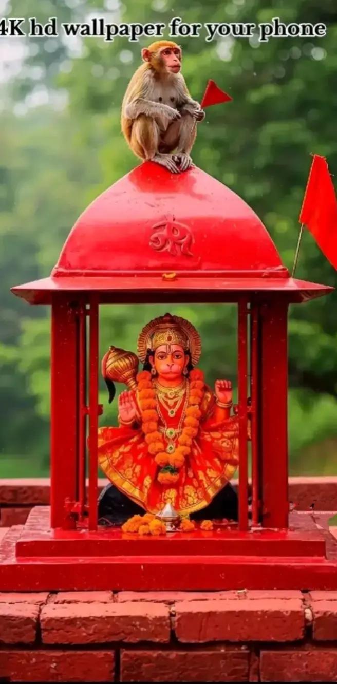 @BAKWAS ZINDAGI