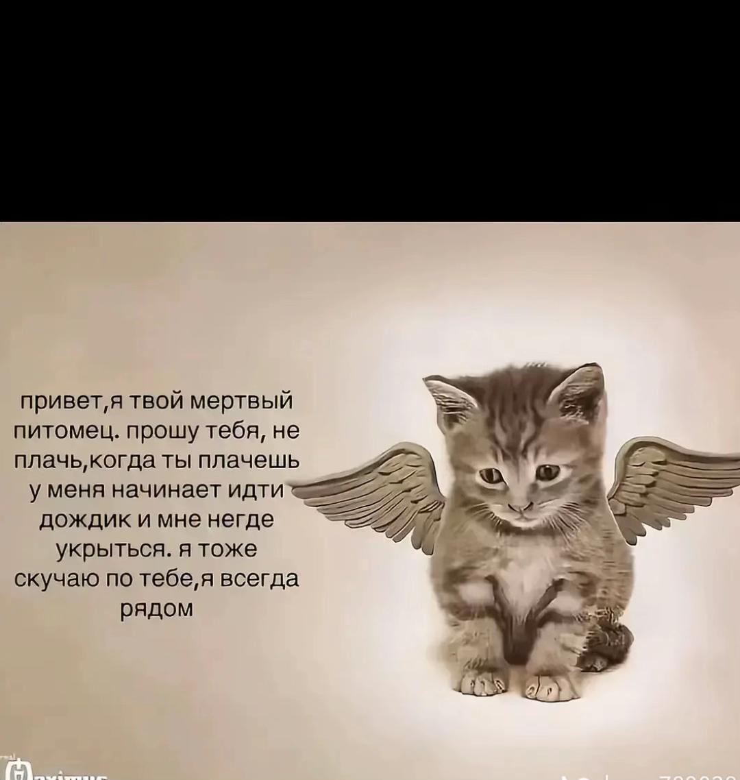 @лиза