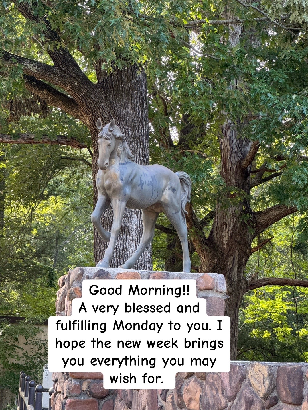 @AuntSassy โ๐บ๐ธ