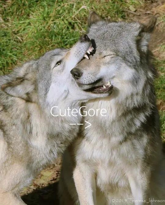 @:3