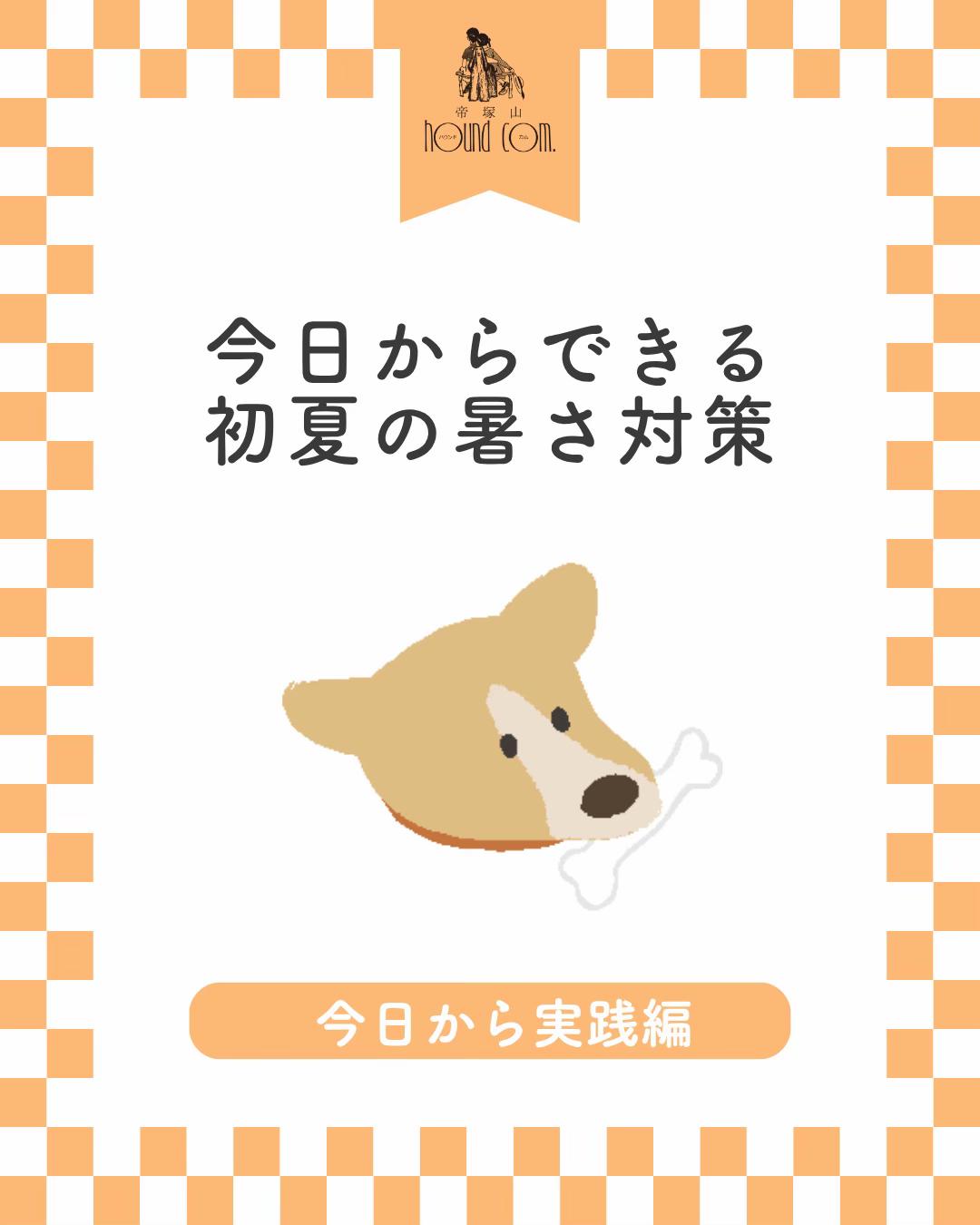 @帝塚山ハウンドカム