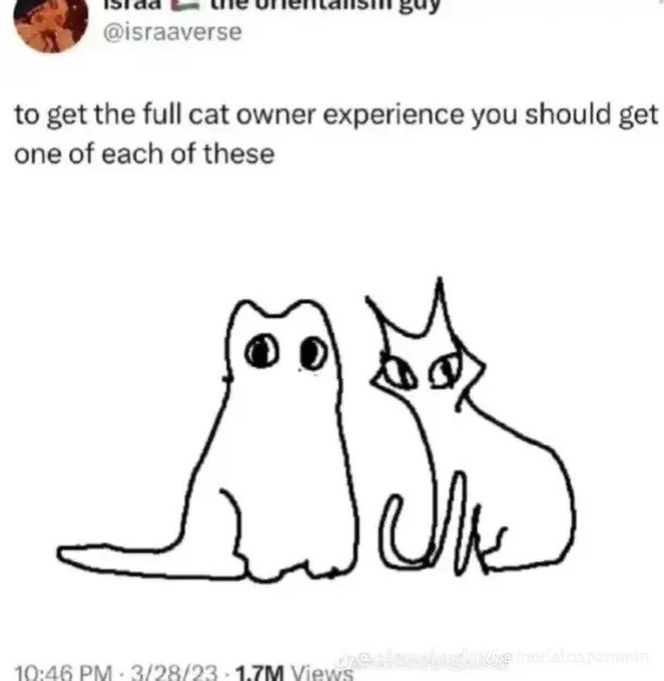 @meow