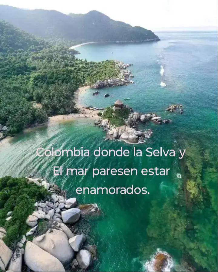 @Mary.S