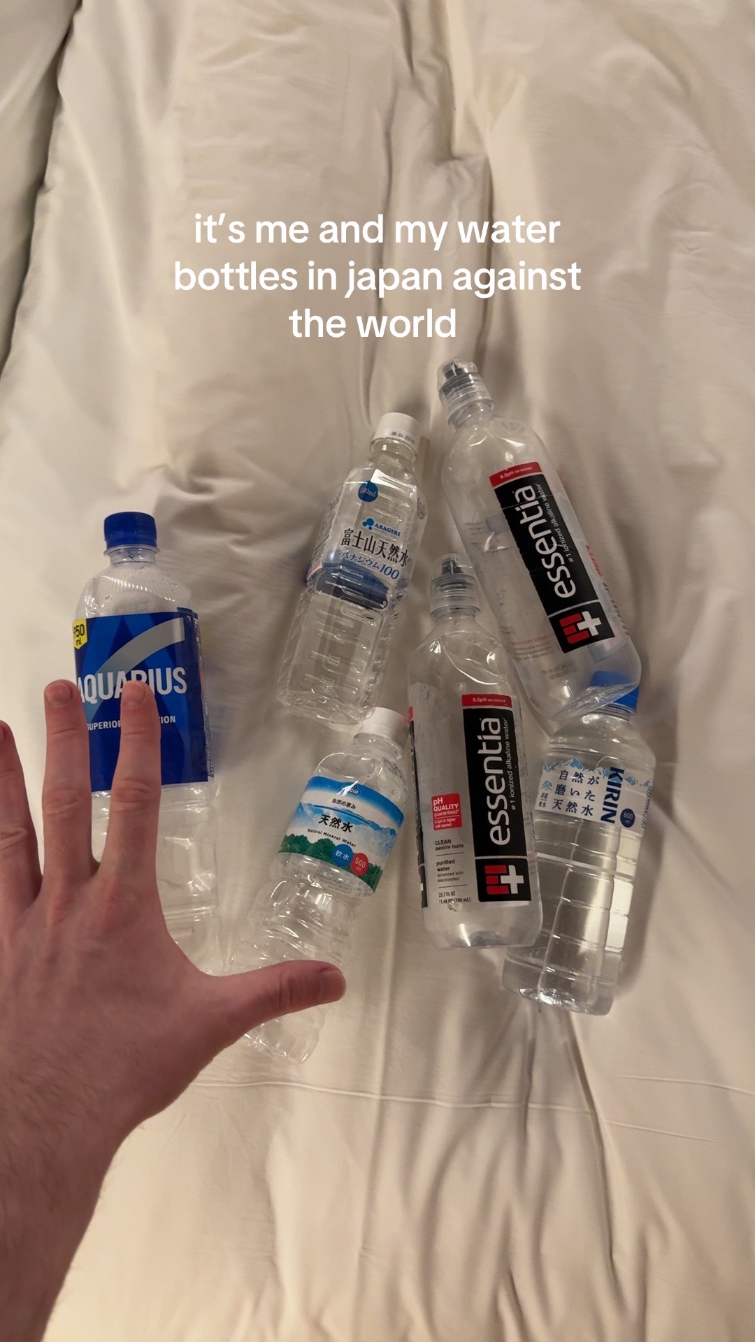 @joey morof
