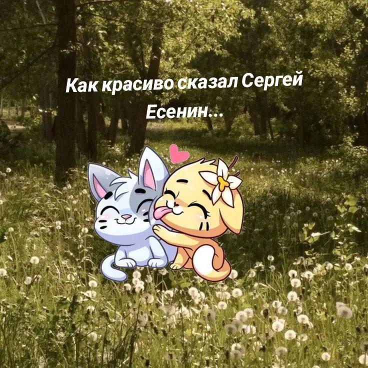 @Малина 🍓 (К❤️&zwj;🩹)