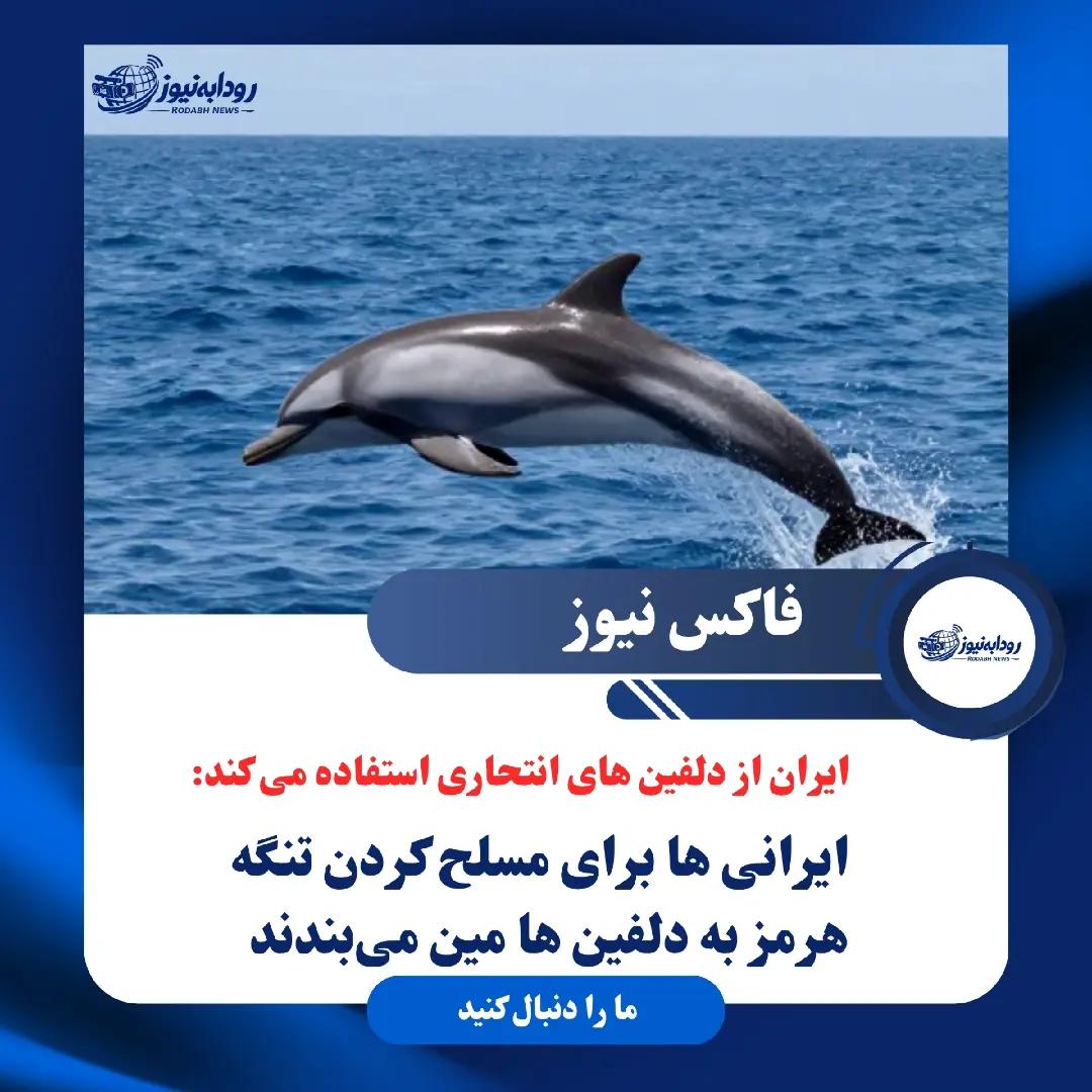 @رودابه نیوز