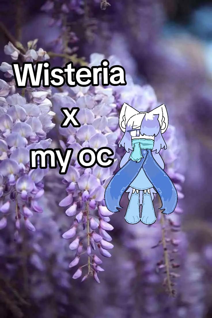 @Reta_Neko