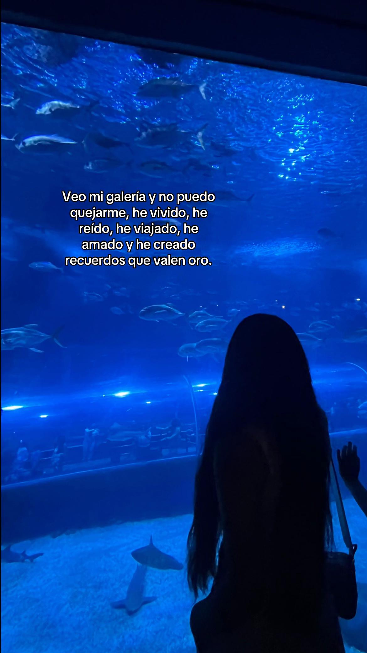 @Vanessa Ortiz