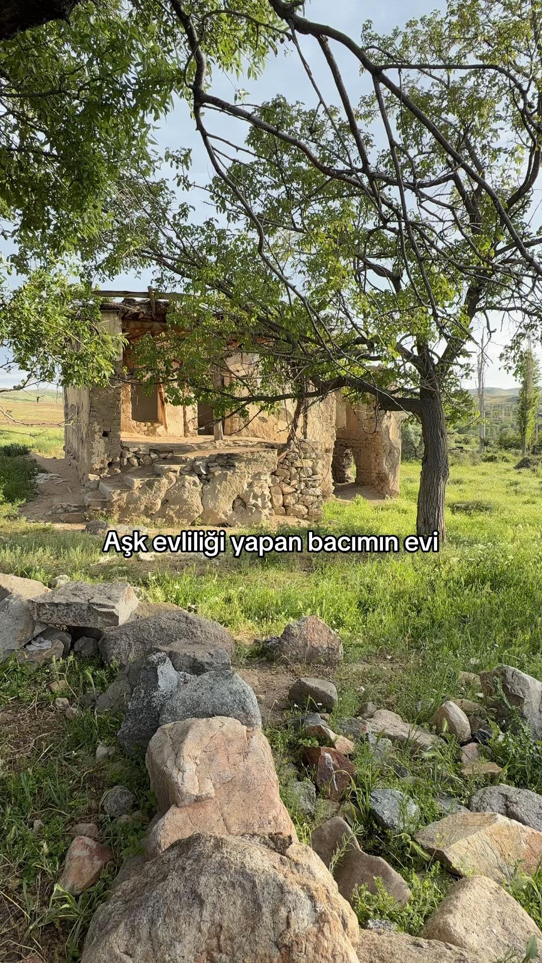 @Şeyma06Cnt