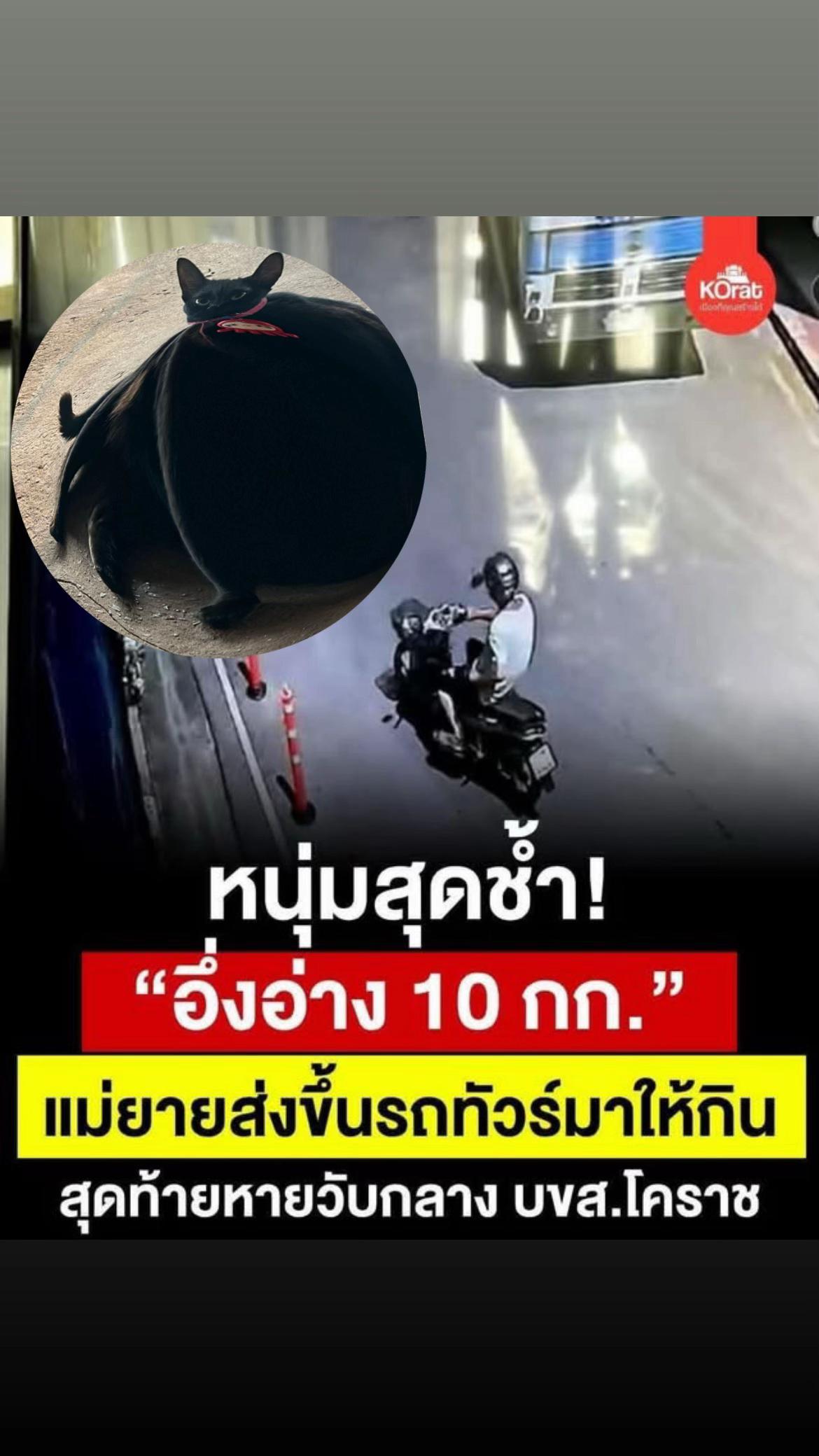 @ชื่อน้องจ้อนค่ะ