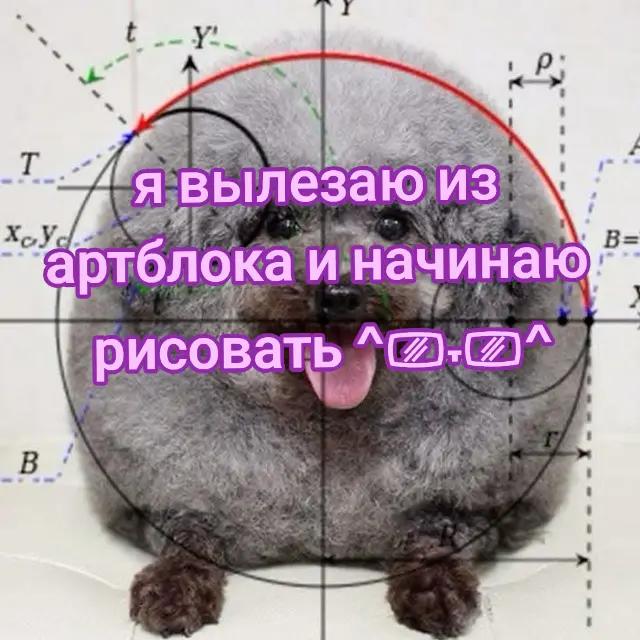 @^^shillalalalaXD@