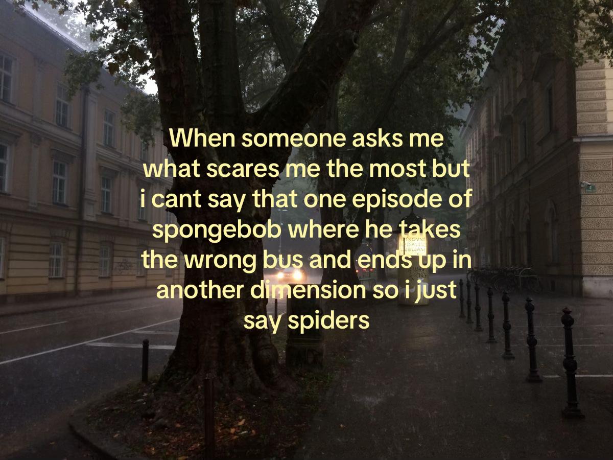 @oioioi