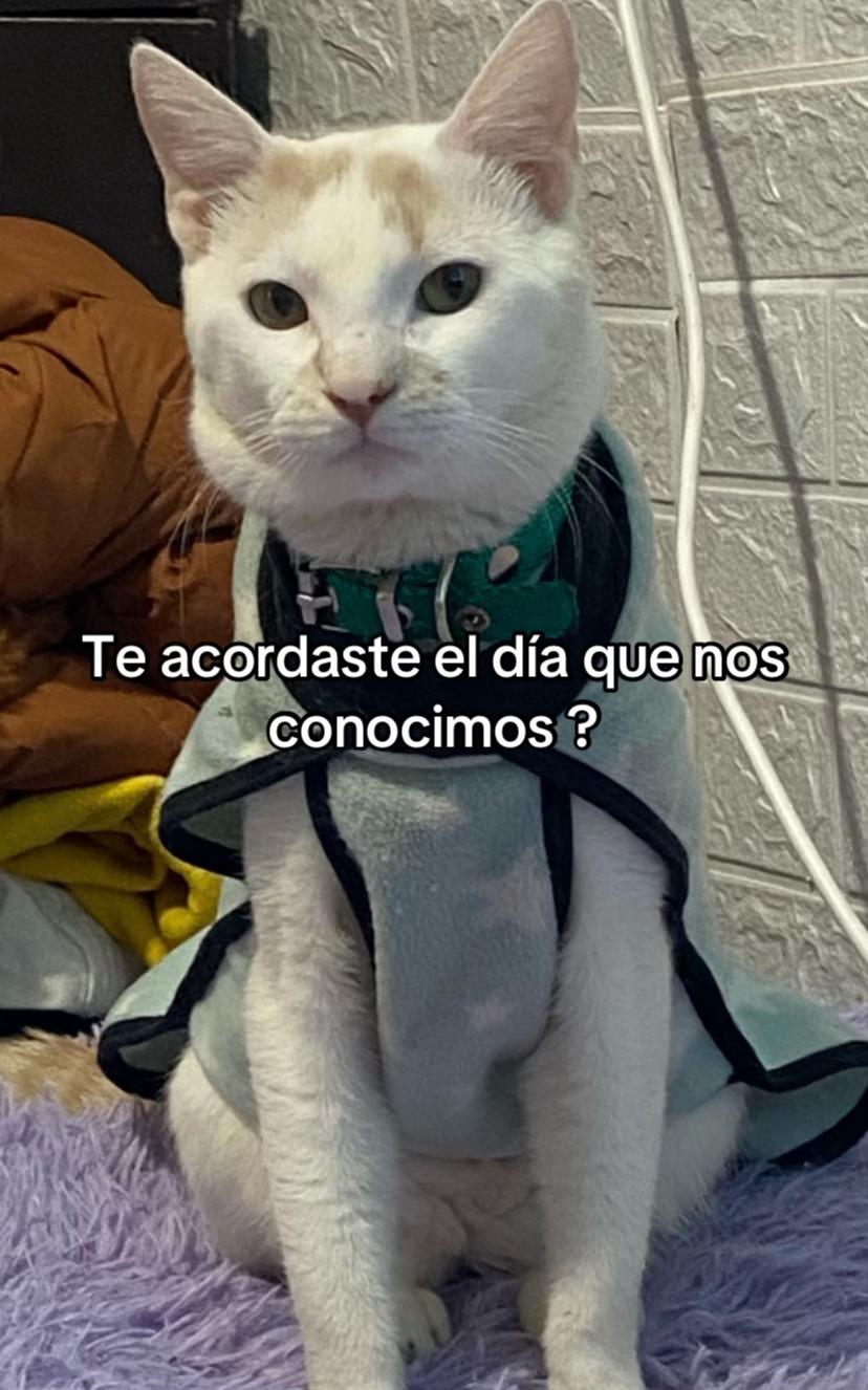 @Franco ✨