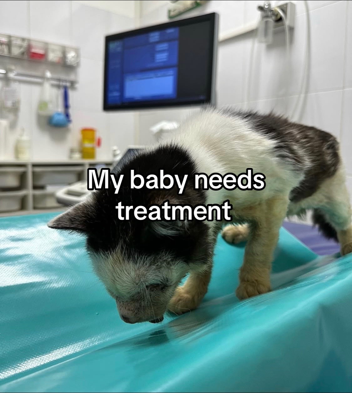 @wemakerescues