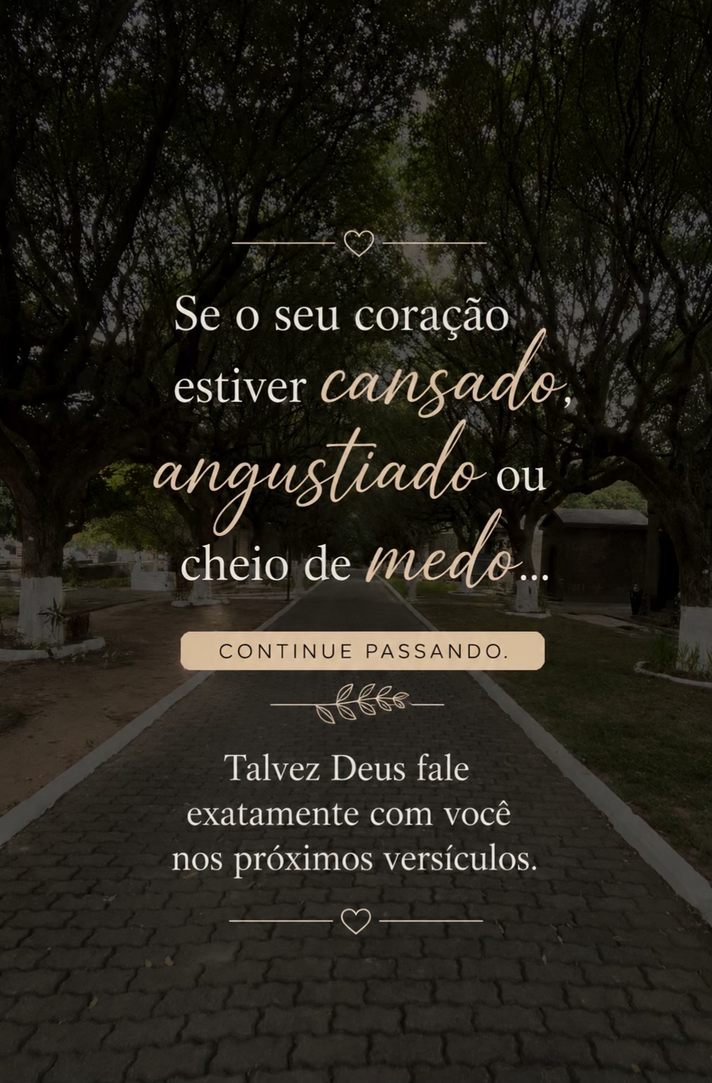 @Comandante Felipe