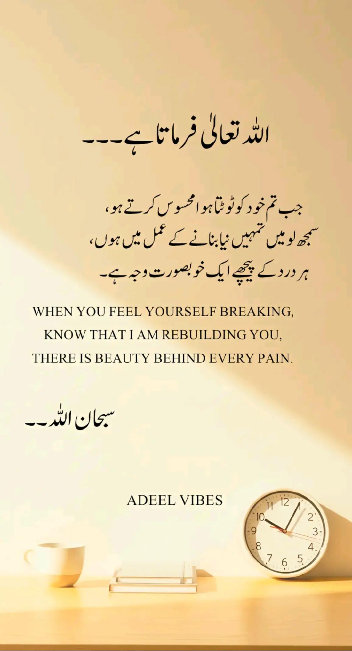 @👑Waqas Biland 👑