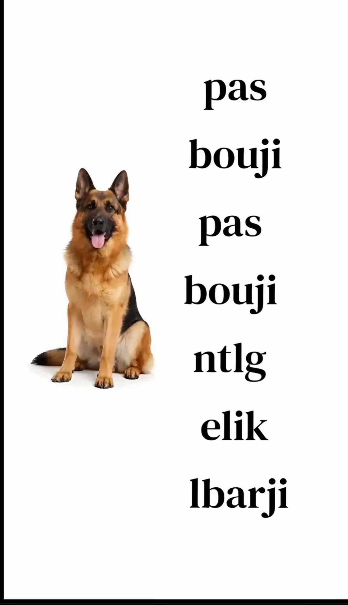 @๐บLa_lupa๐บ