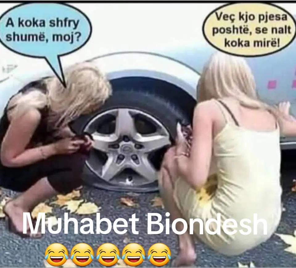 @Reklama Biznesi