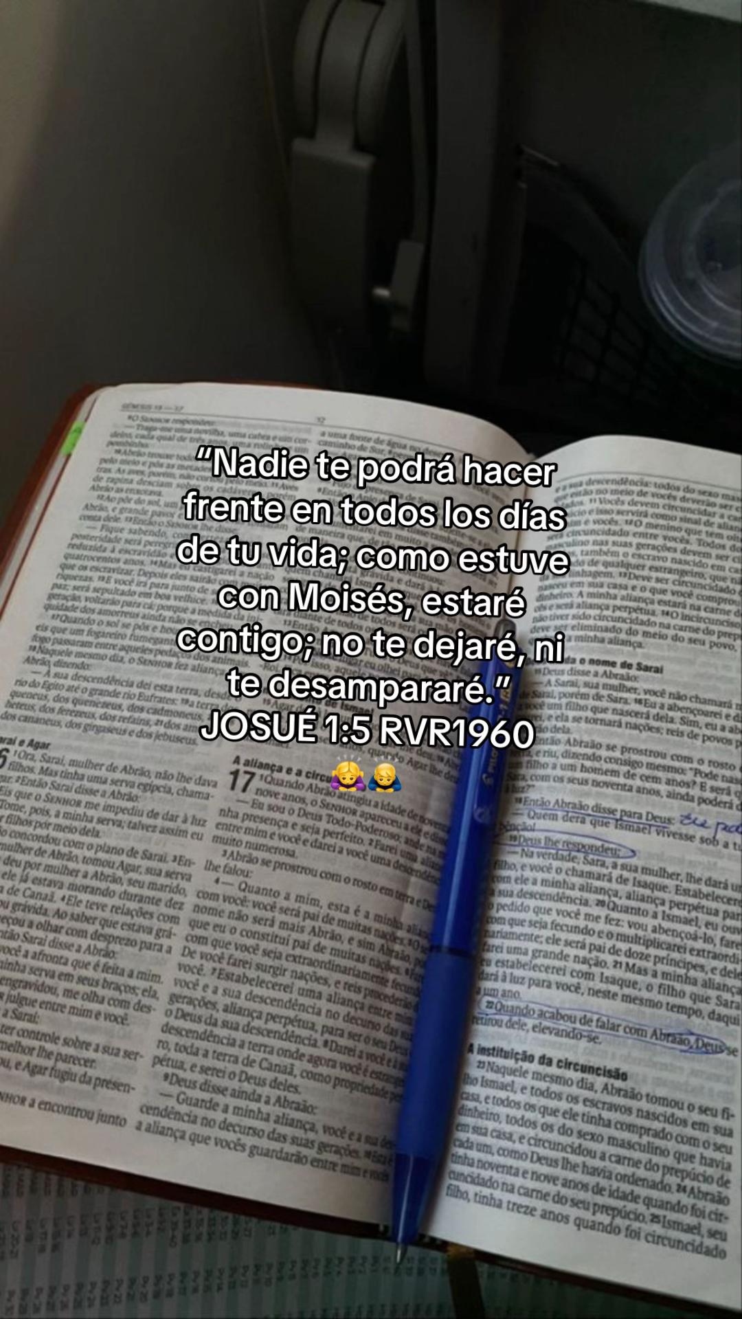 @Amando a Jes&uacute;s