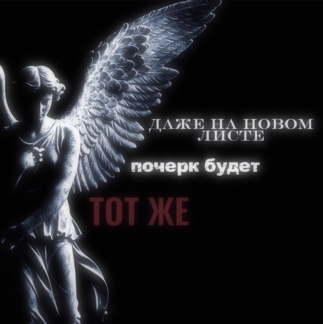 @ɸᴩиᴄᴀ ╥﹏╥