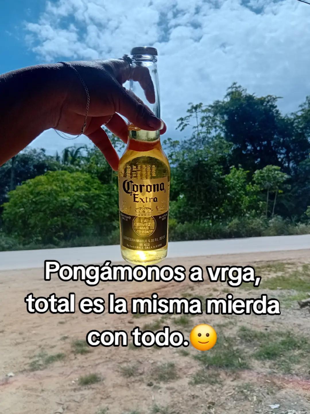 @Silvia Chkc