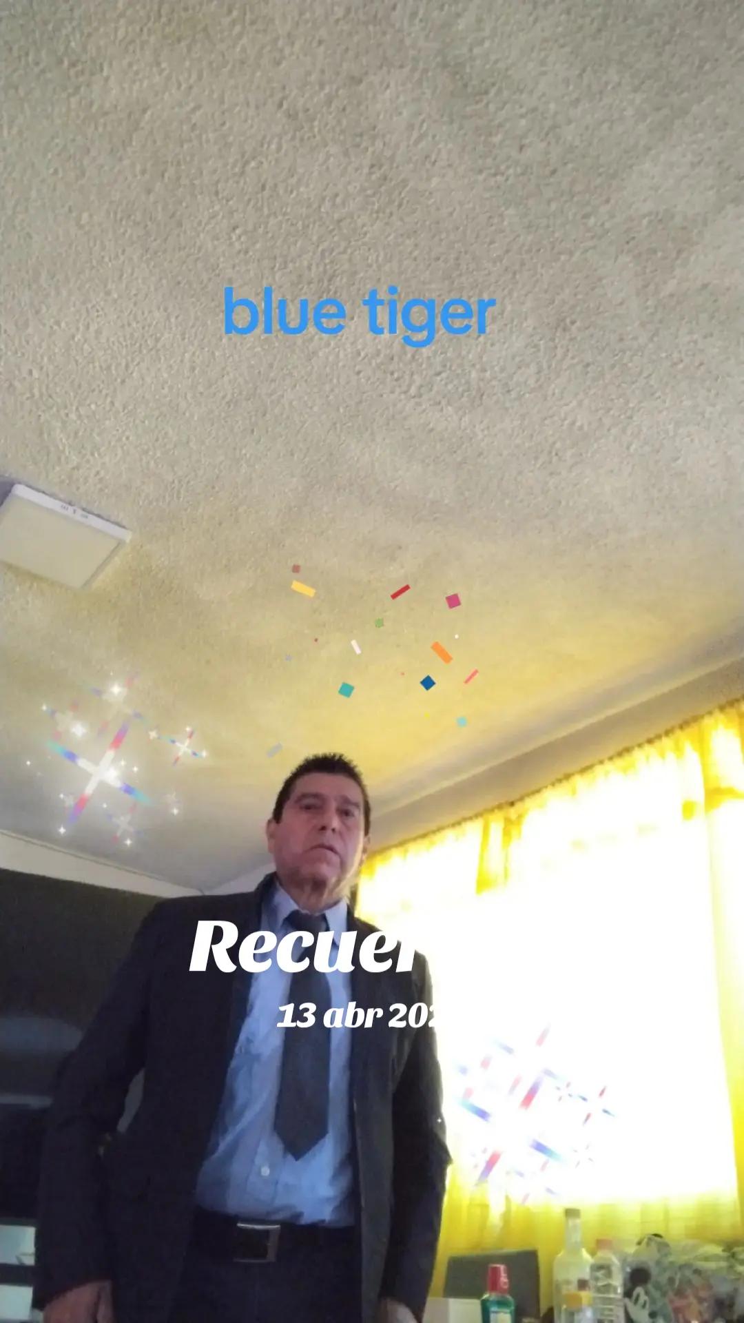 @bluetiger