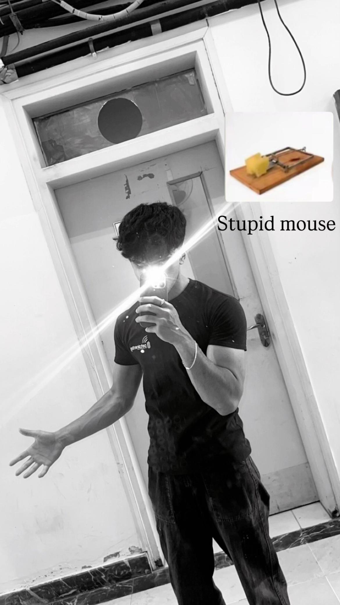 @D33R