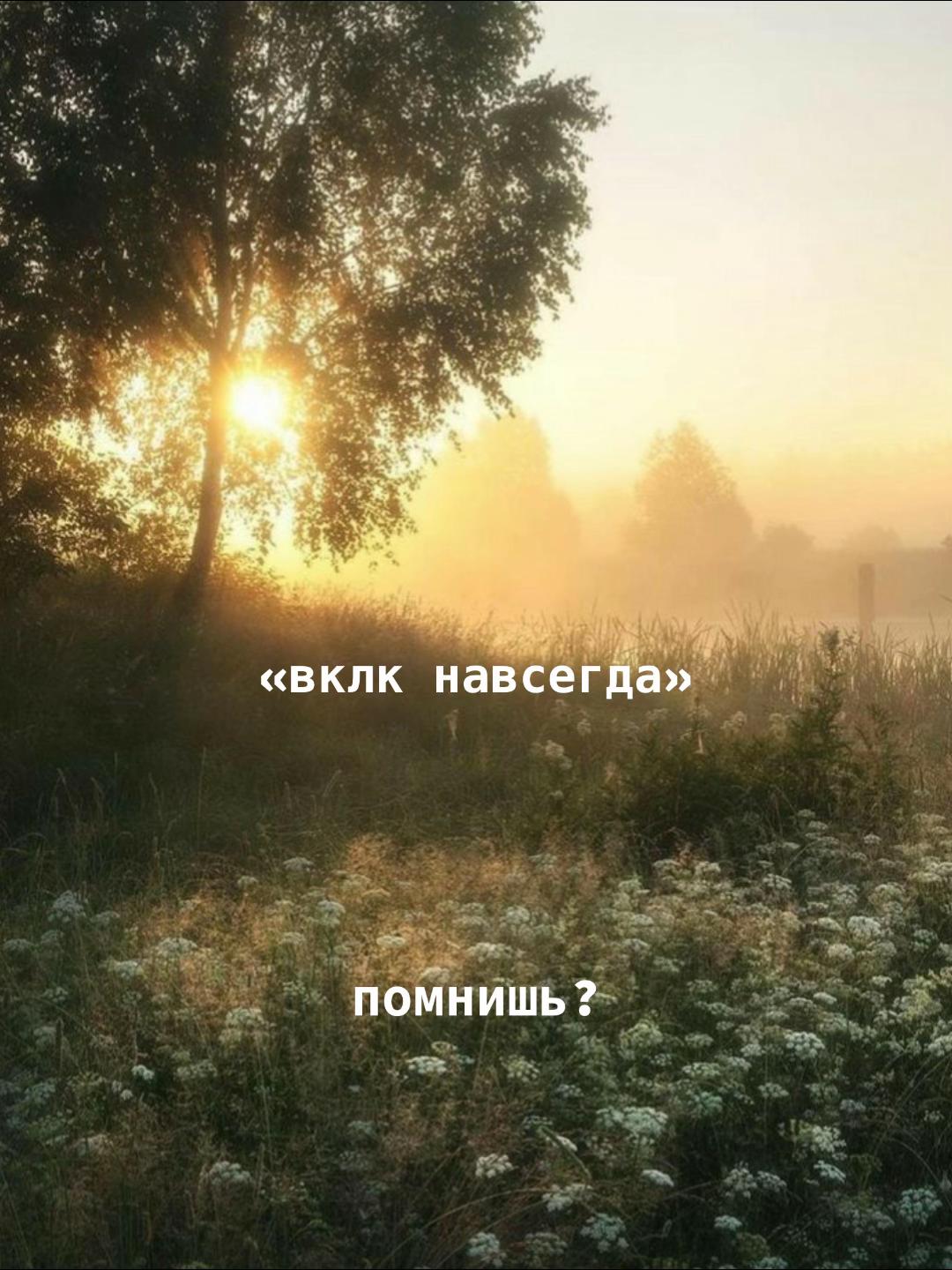 @соннхс