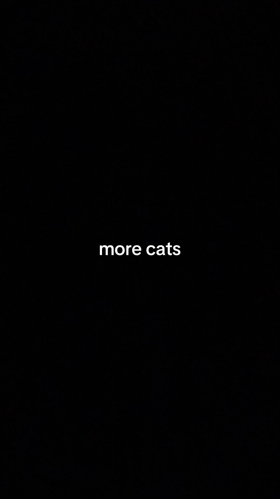 @glitch