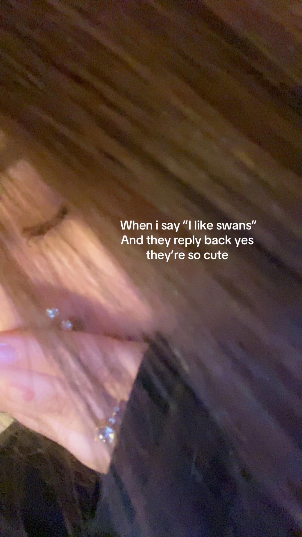@𝓜🦢♾️