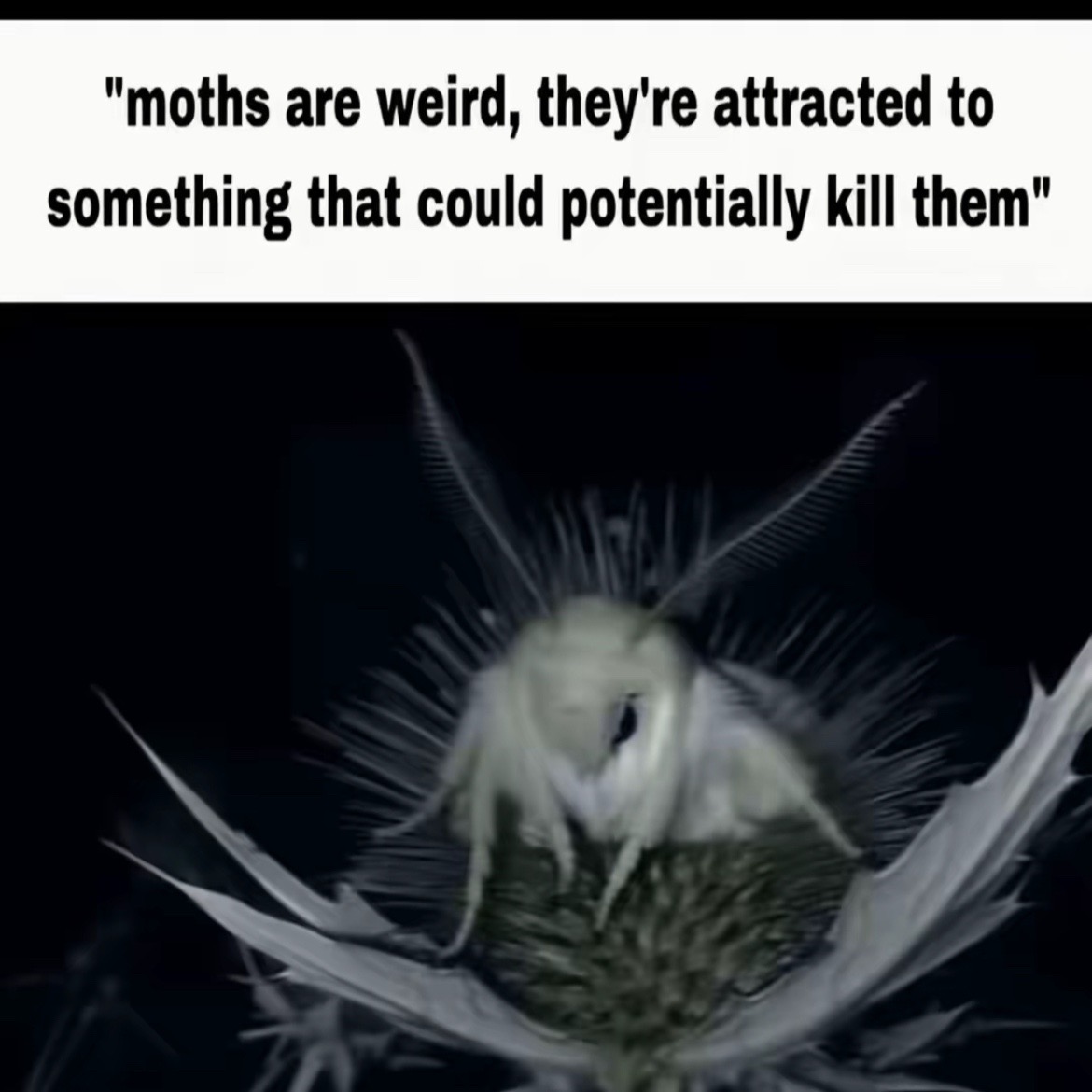 @โ