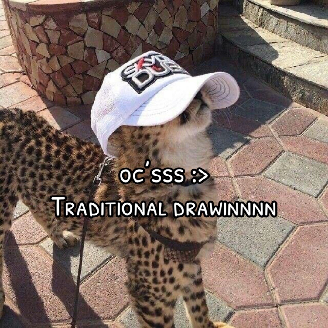 @Awildgatoo