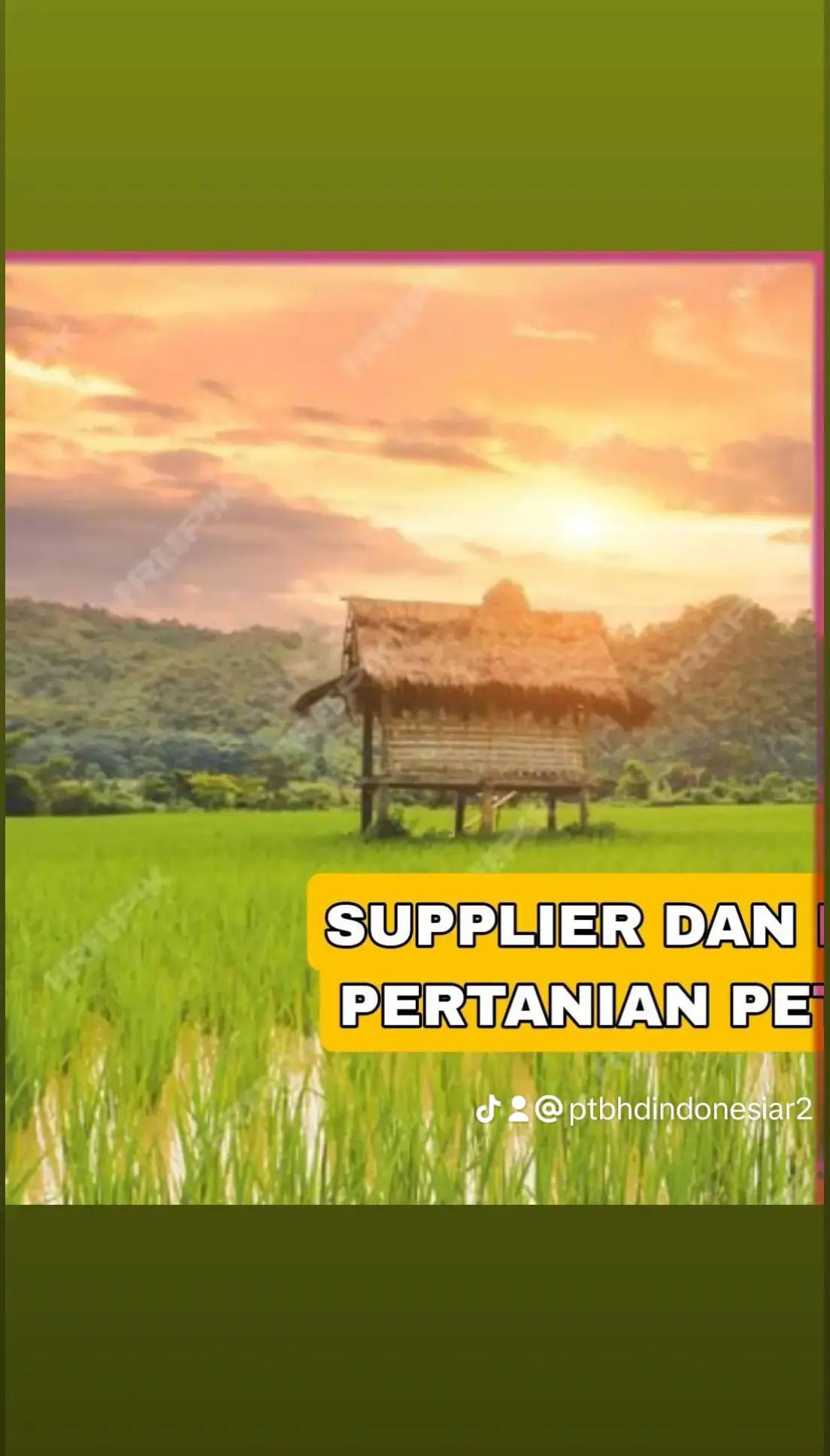 @PT. BHD INDONESIA