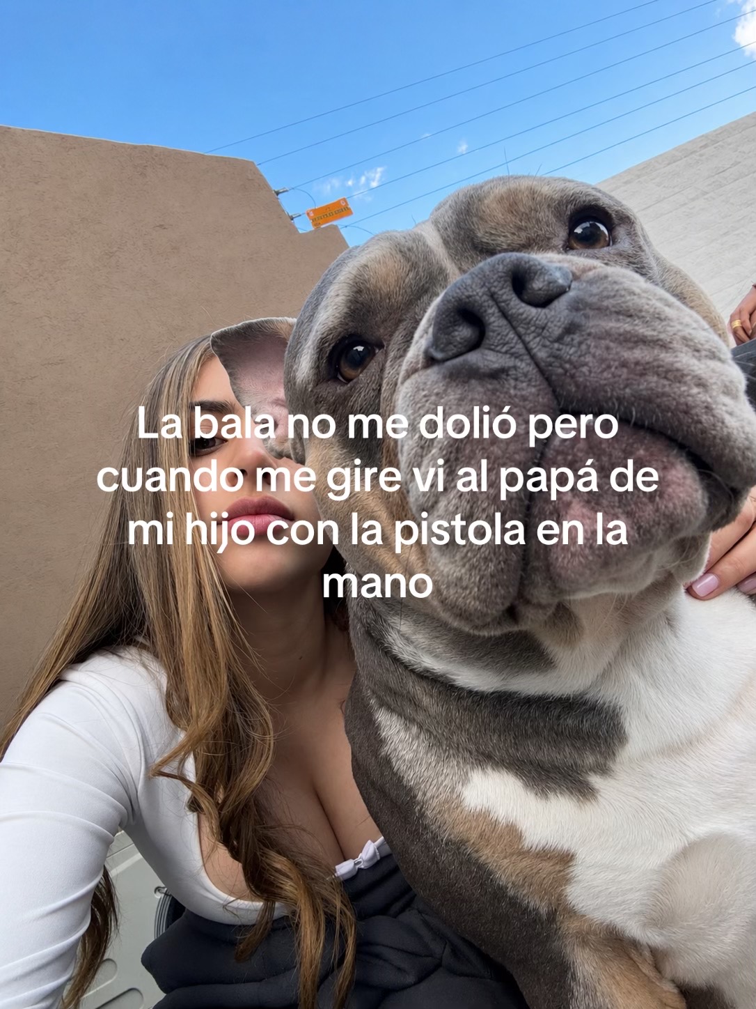 @melicontreras1889