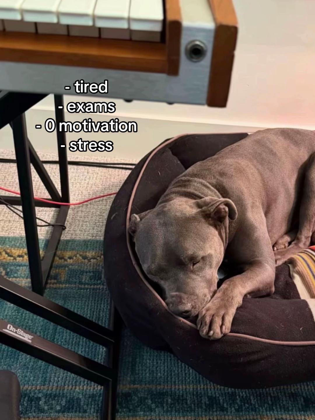 @chris.tbx