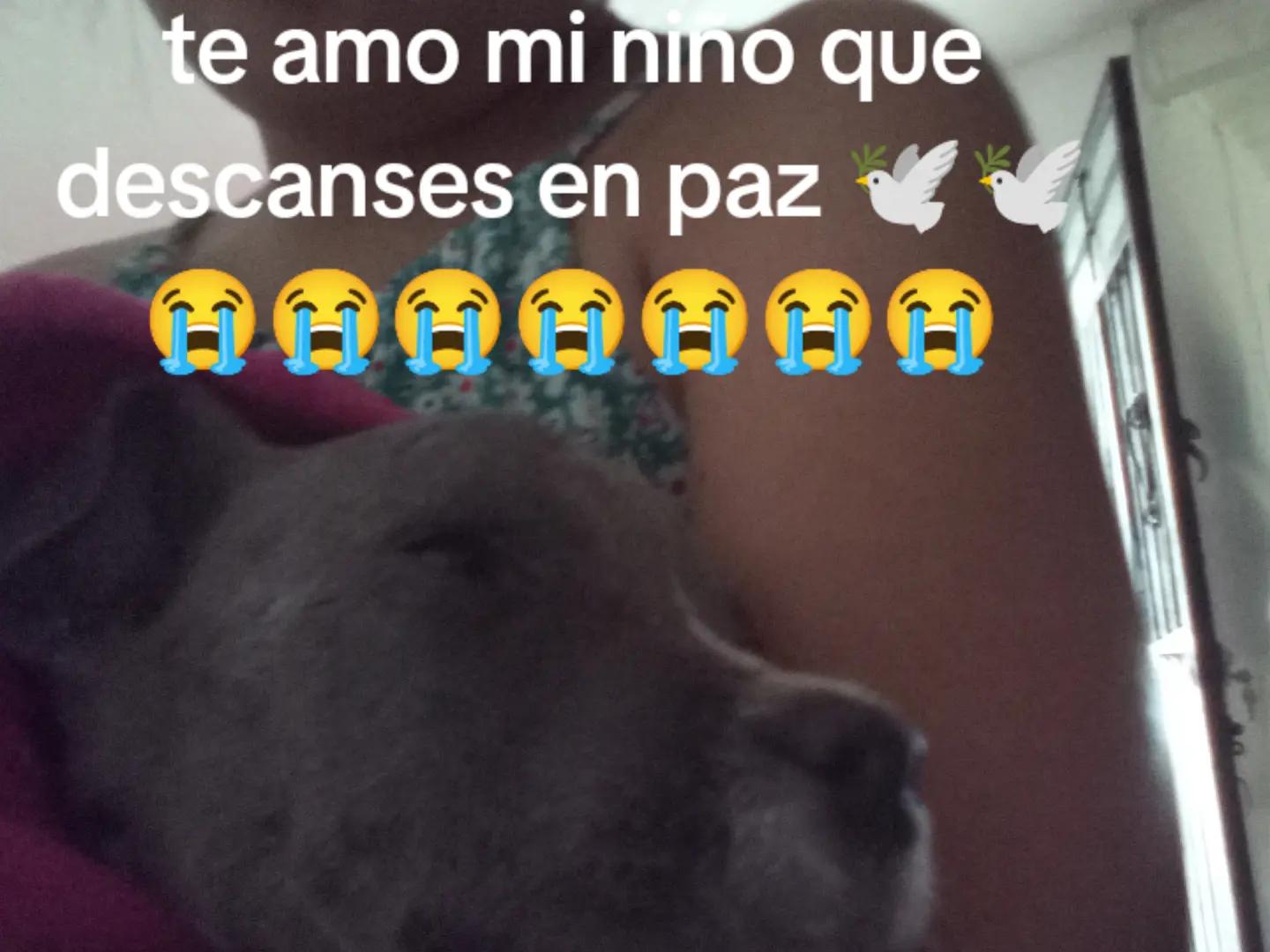 @Annette Lopez