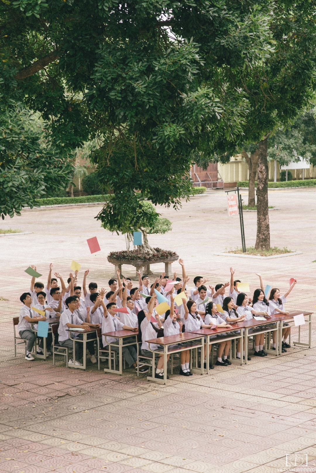 @Vietnam Students (VNS)