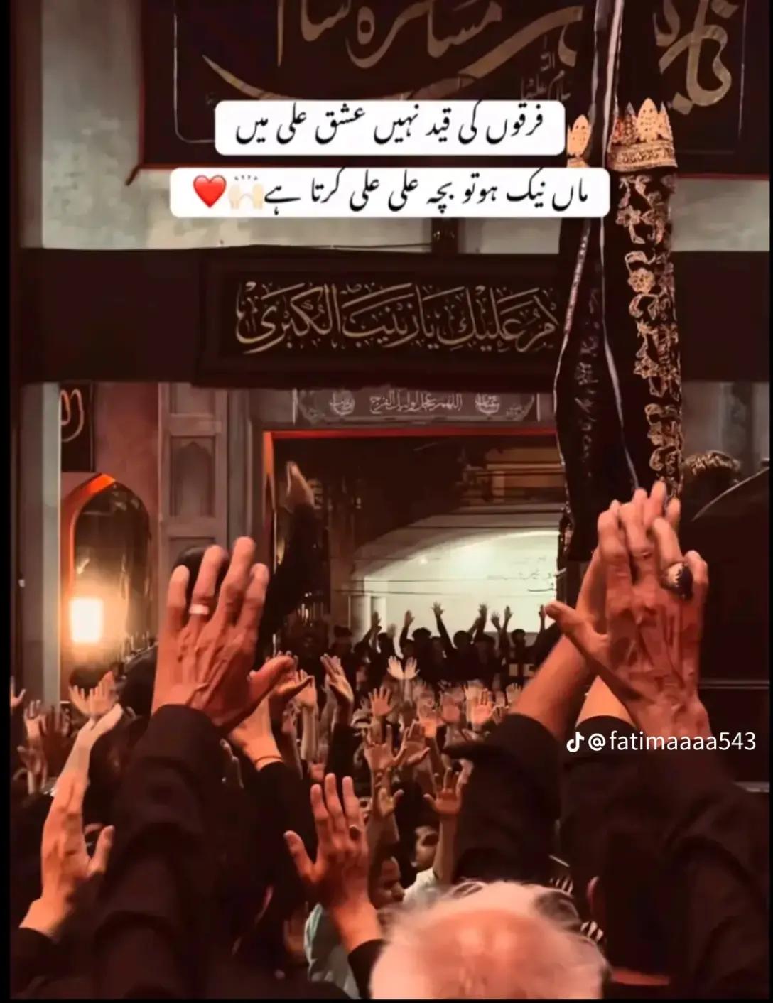 @🚩موسئ راجپوت😈