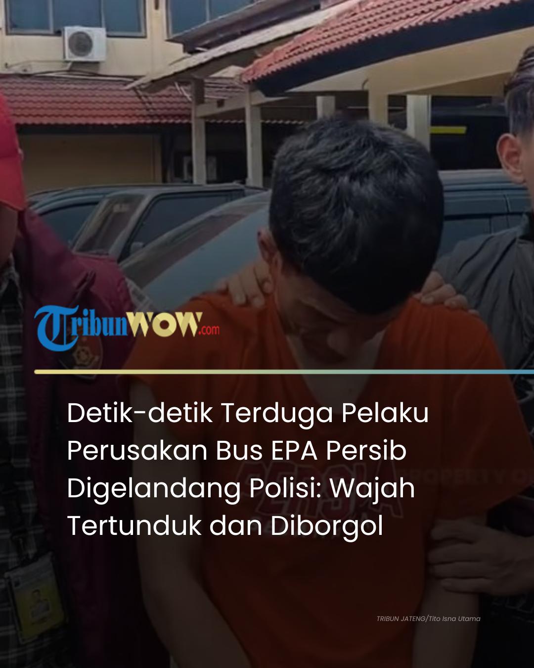 @tribunwow.official