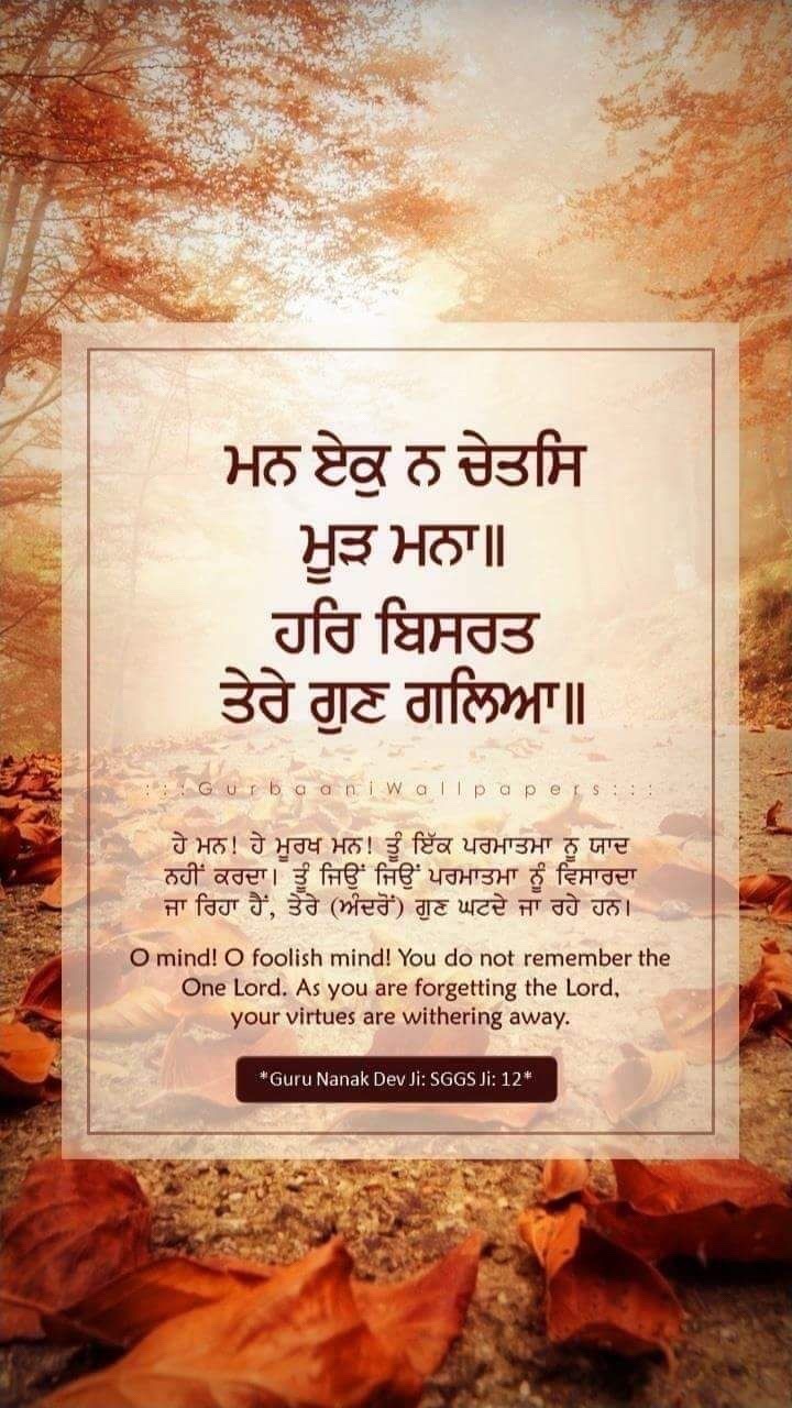 @gurbanistatus84