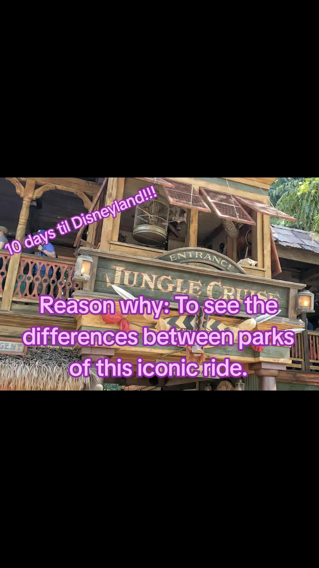 @Chucks Magical Adventures
