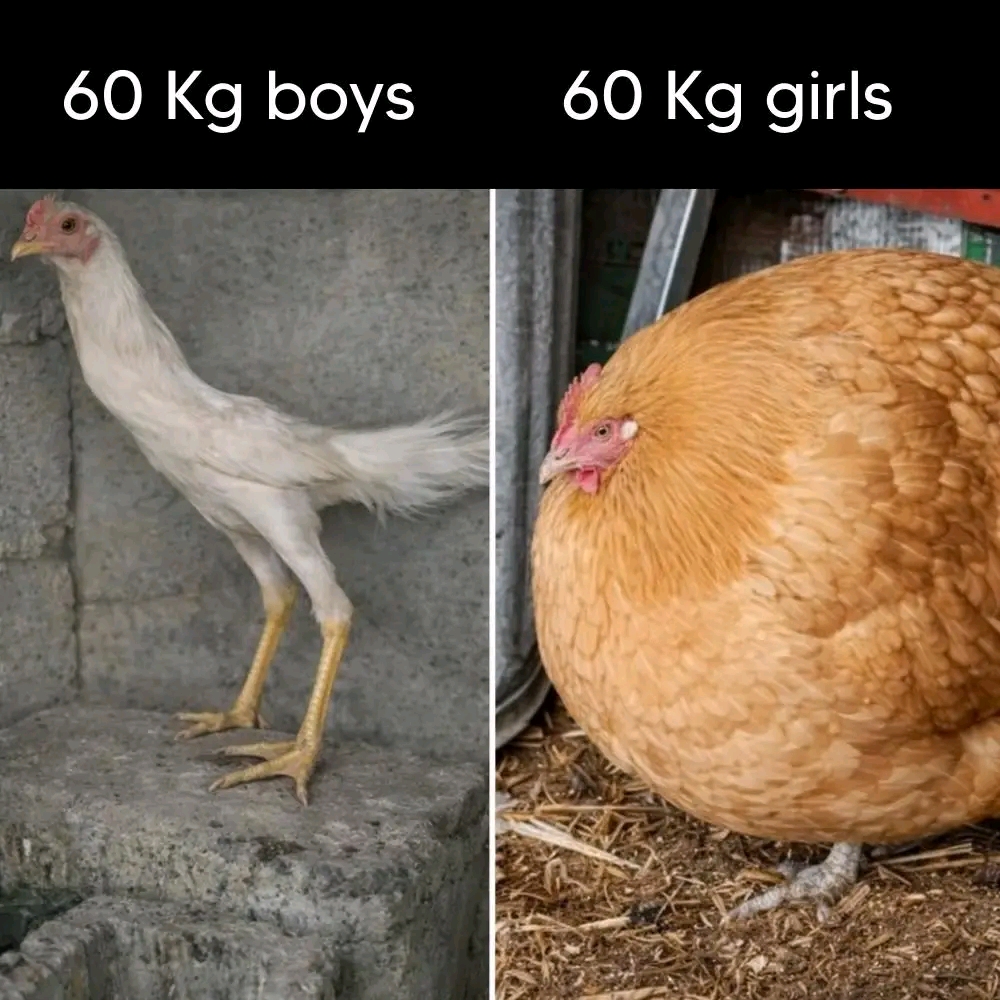@Pobitro Kumar