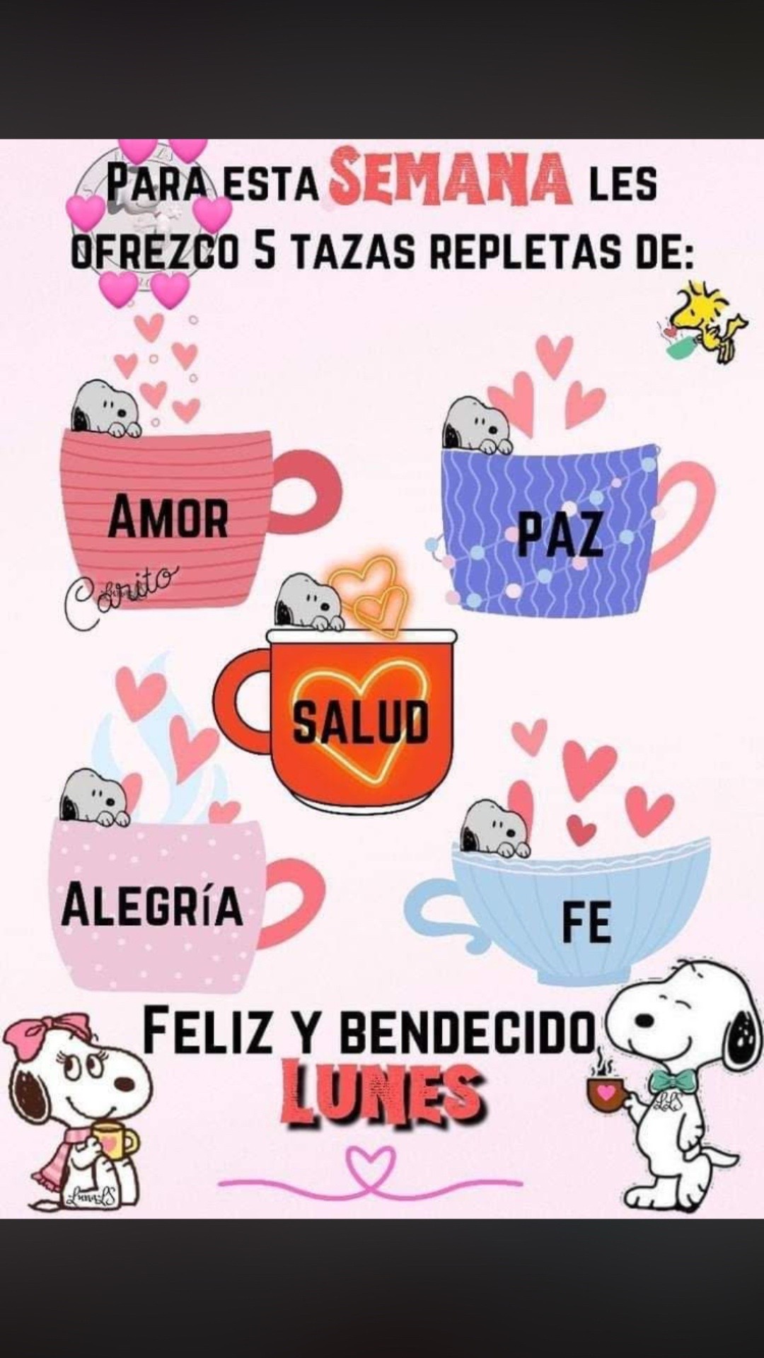 @mirian✨