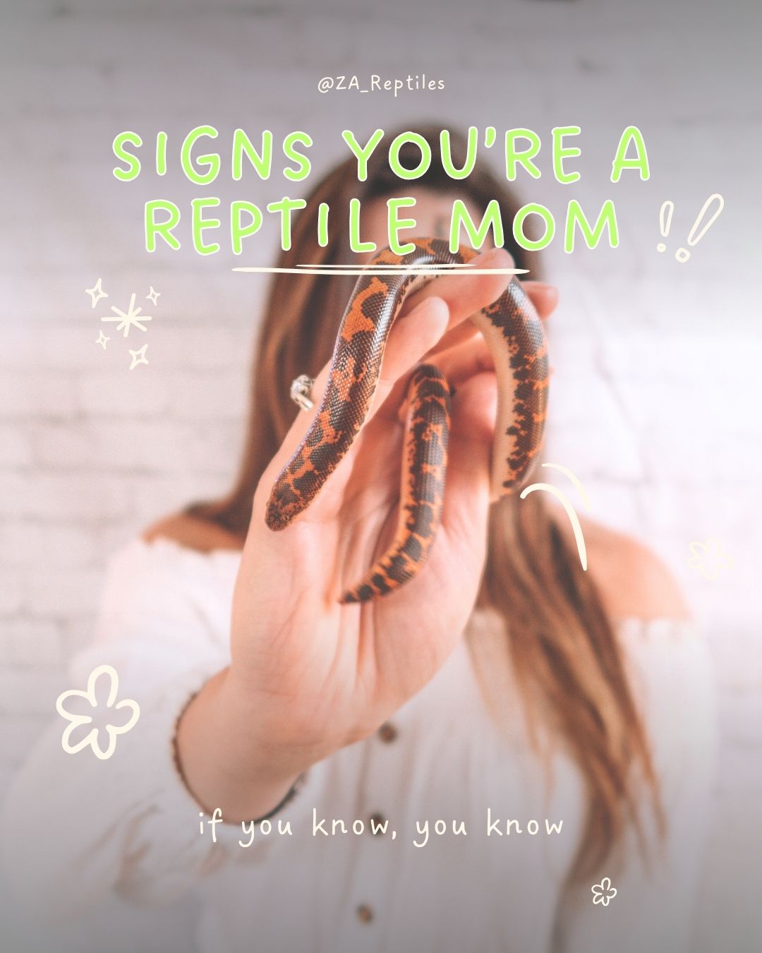 @ZA Reptiles