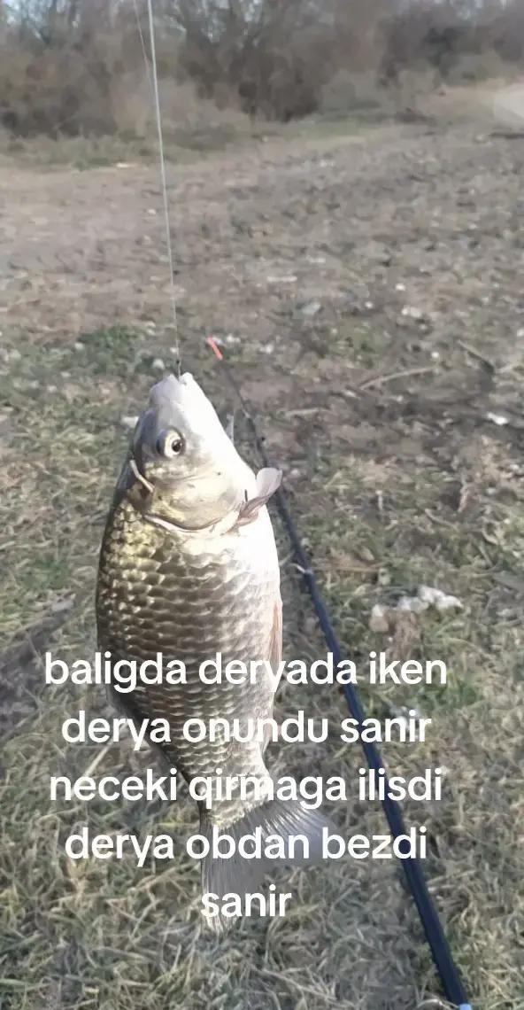 @samirnuray